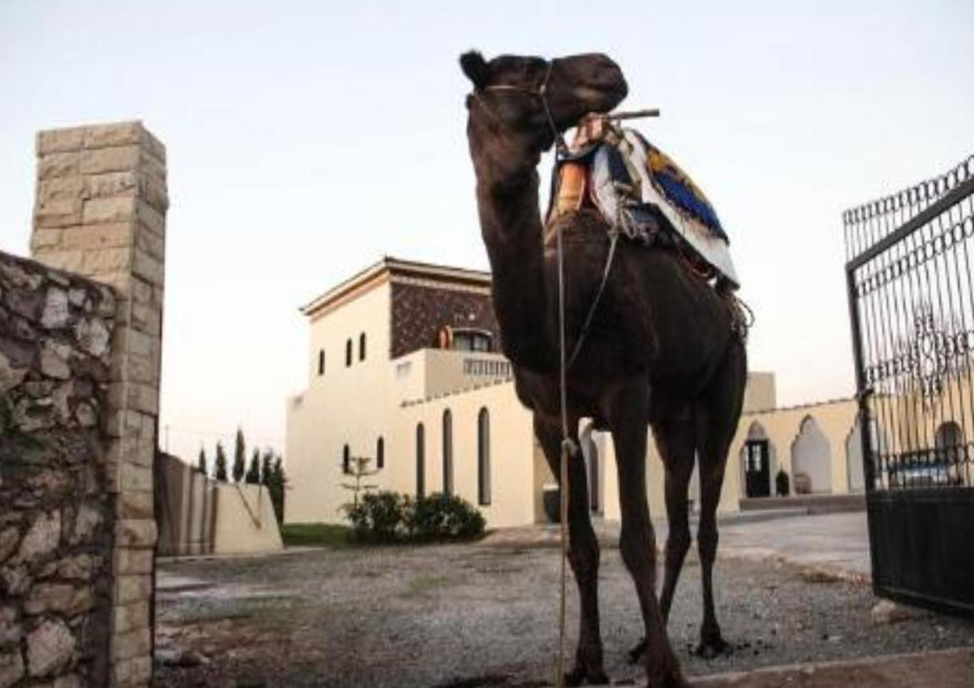 Sidi Kaouki Ayt Karoum Hotell Exteriör bild