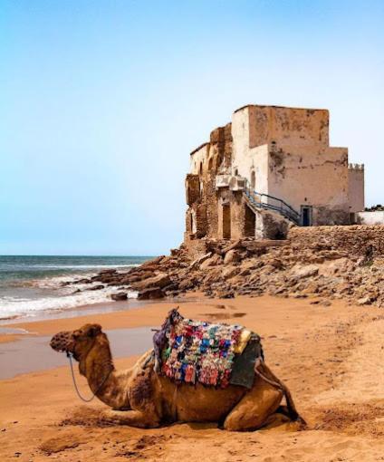 Sidi Kaouki Ayt Karoum Hotell Exteriör bild